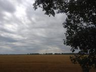 Королівка з panoramio.com