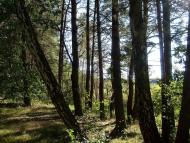 Забужжя з panoramio.com