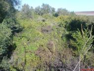 Нижні Орішники з panoramio.com