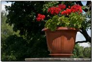 Яблунівка з panoramio.com