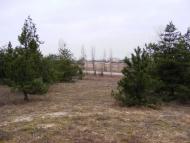 Кардашинка з panoramio.com