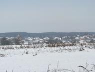 Копичинці з panoramio.com