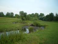 Черепашинці з panoramio.com