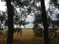 Королівка з panoramio.com