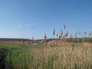 Радушне з panoramio.com