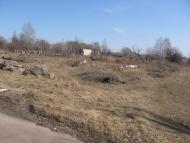 Товстоліс з panoramio.com