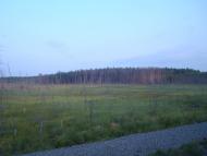 Першотравневе з panoramio.com