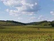 Кірове з panoramio.com