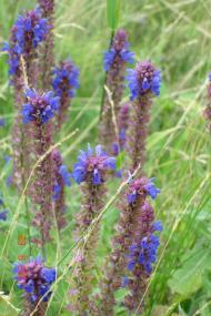 Набережне з panoramio.com