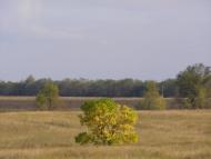 Гаврилівка - Останні фото