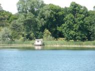 Сокільча - Останні фото