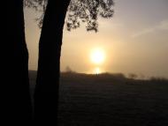 Хабарище з panoramio.com