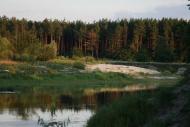 Голубів з panoramio.com