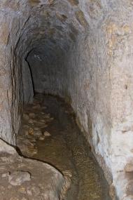 Петрове з panoramio.com