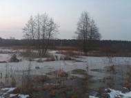 Старикове з panoramio.com