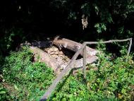 Христофорівка з panoramio.com