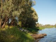 Новосілки з panoramio.com