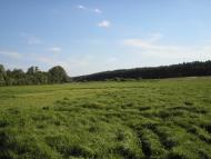 Мажугівка з panoramio.com