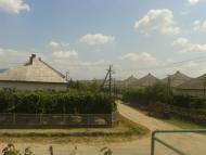 Олешник з panoramio.com