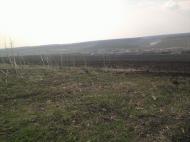 Березівка з panoramio.com