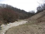 Шебутинці з panoramio.com