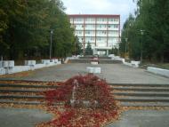 Менжинське з panoramio.com