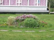 Сеньківка з panoramio.com