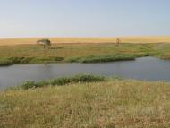 Переможне - Останні фото