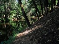 Чома з panoramio.com