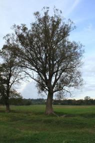 Деркачівка з panoramio.com