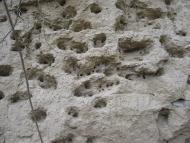 Буданів з panoramio.com