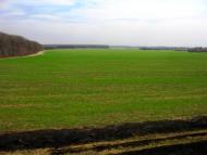 Старий Мерчик з panoramio.com