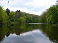 Хрущова Микитівка - Останні фото