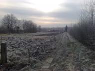 Вишнівка з panoramio.com