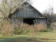 Біловежі Перші з panoramio.com