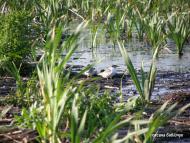 Тур з panoramio.com