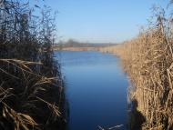 Красноармійськ з panoramio.com