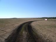 Весела Тарасівка - Останні фото