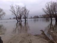 Вишеньки з panoramio.com