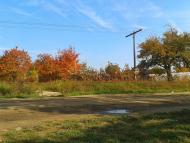 Олешник з panoramio.com