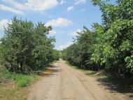 Долина з panoramio.com