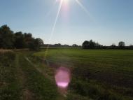 Новосілки з panoramio.com