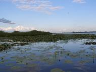 Тур з panoramio.com