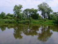 Гуща з panoramio.com