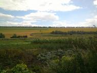 Березівка з panoramio.com