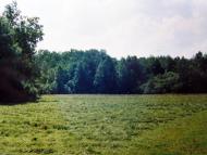 Завітне з panoramio.com