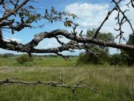 Климентове з panoramio.com