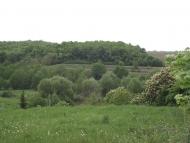 Макіївка з panoramio.com