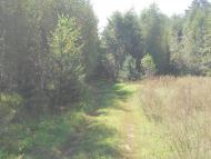 Сахутівка з panoramio.com