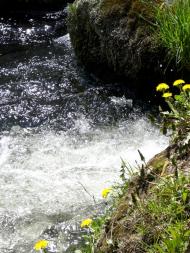 Дмитренки з panoramio.com